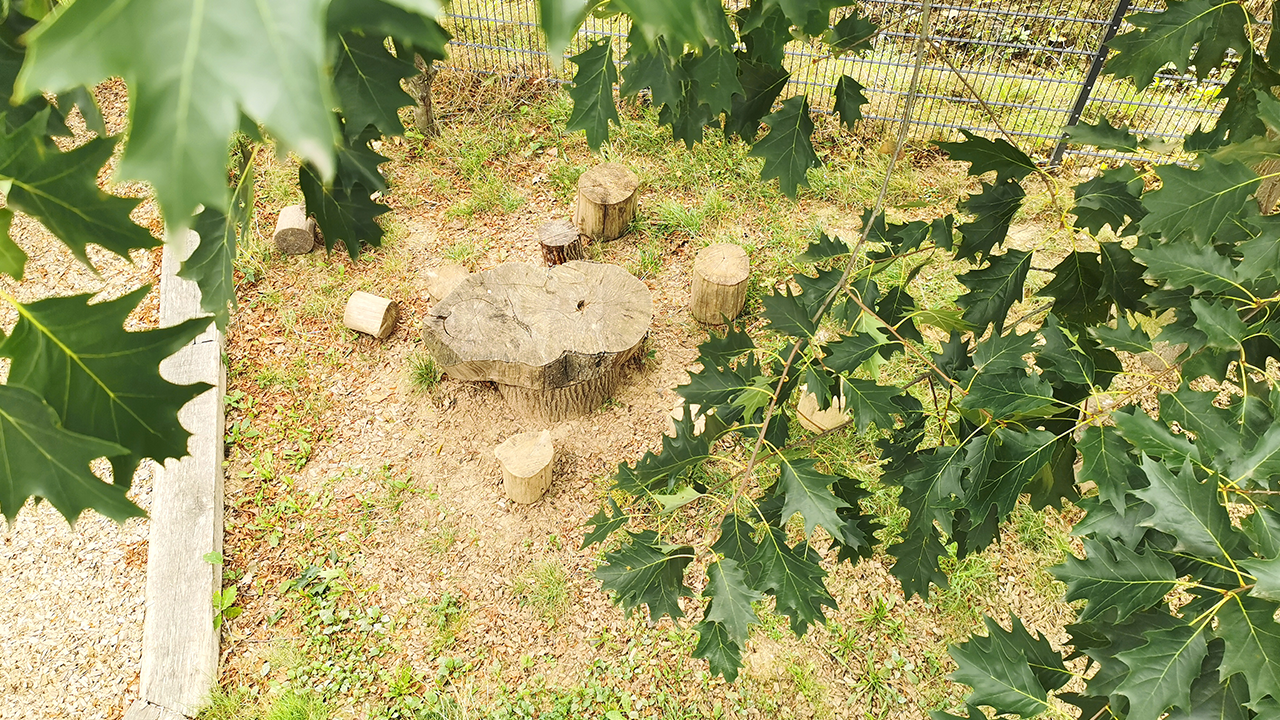 Montessori Kinderhaus „Sonnenstrahl“ e. V. - Garten